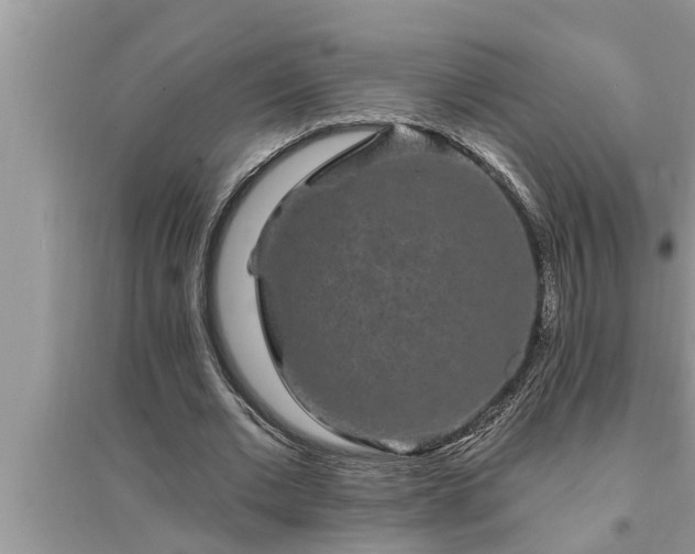 X0000095530677200712211326