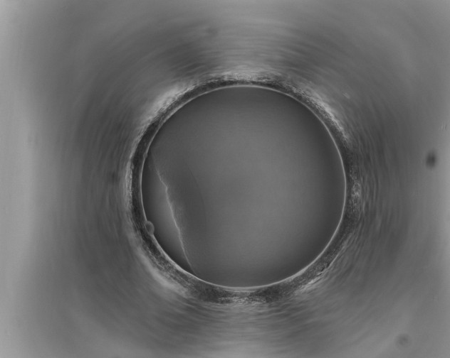 X0000095530678200712211326