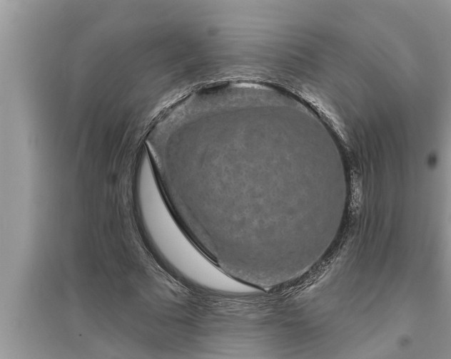 X0000095530681200712211326