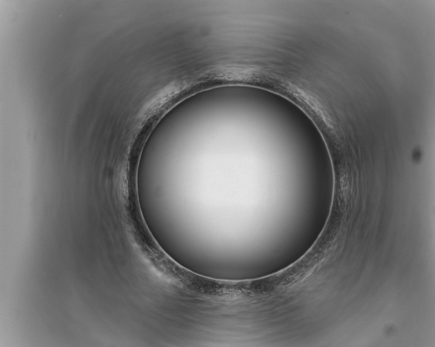 X0000095530682200712211326