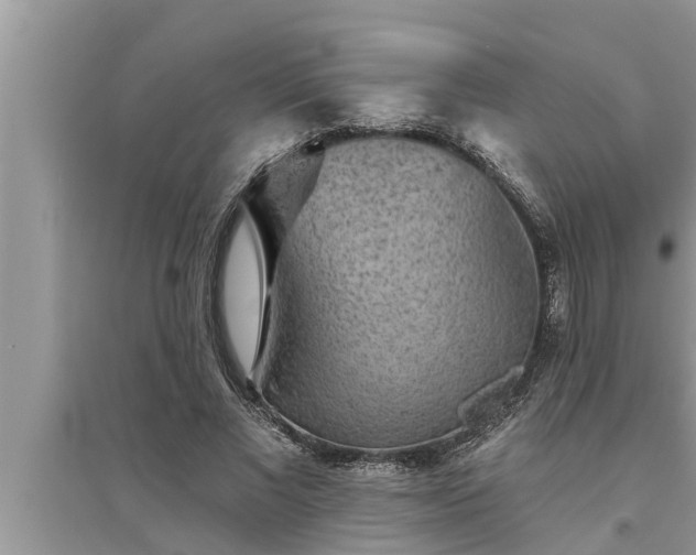 X0000095530685200712211326