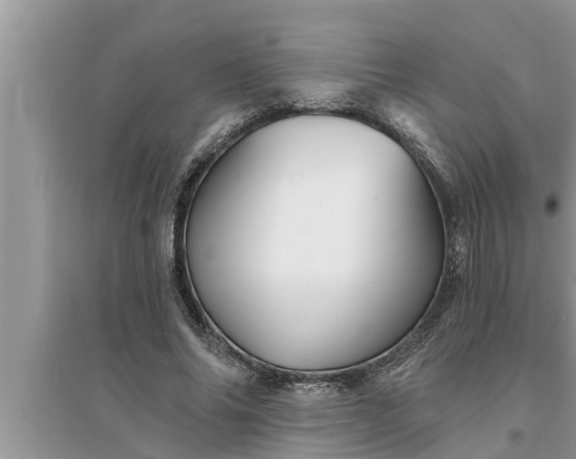 X0000095530686200712211326