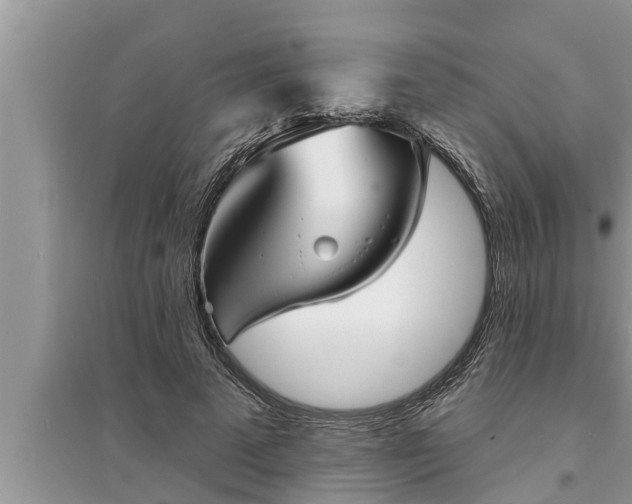X0000095530689200712211326