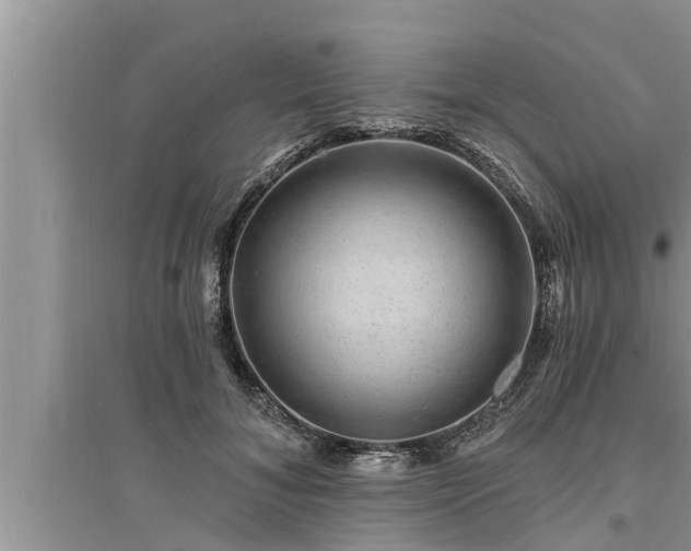 X0000095530700200712211325