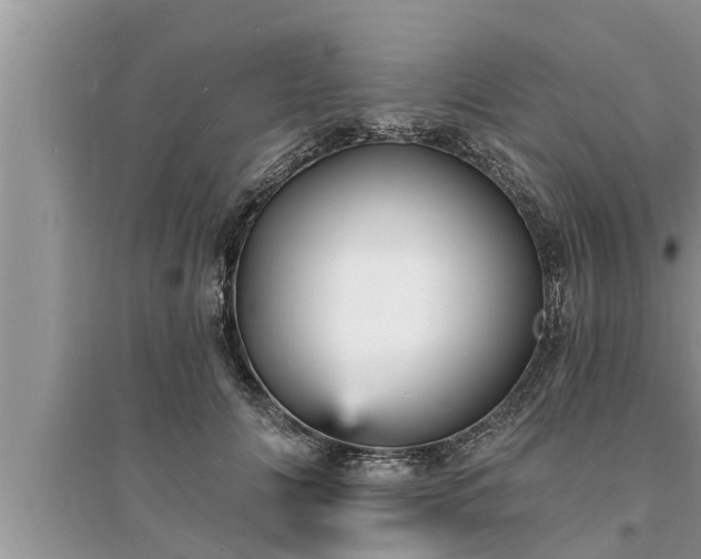 X0000095530702200712211325