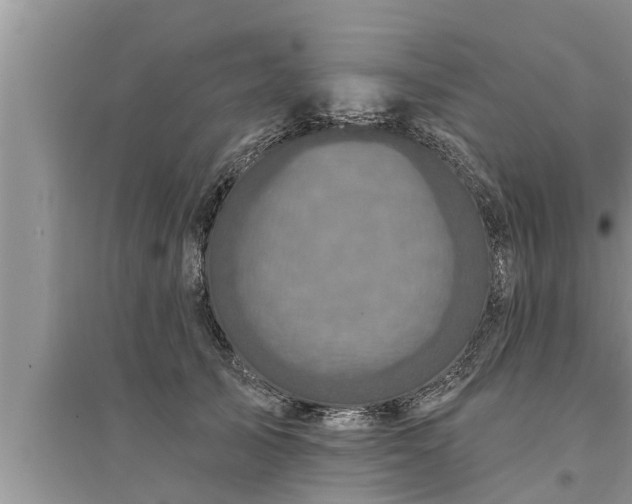 X0000095530705200712211325
