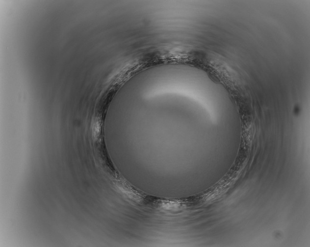 X0000095530709200712211325