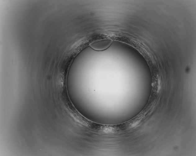 X0000095530710200712211325