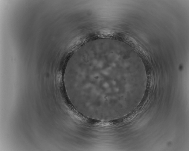 X0000095530711200712211325
