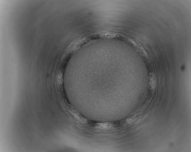 X0000095530713200712211325