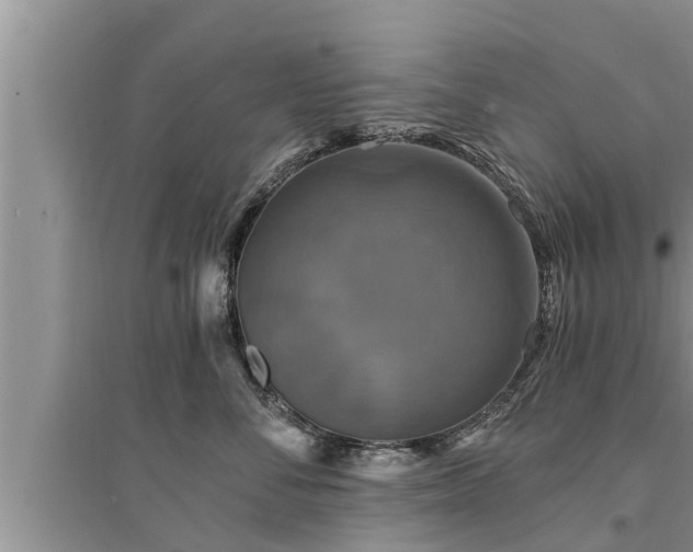 X0000095530716200712211325