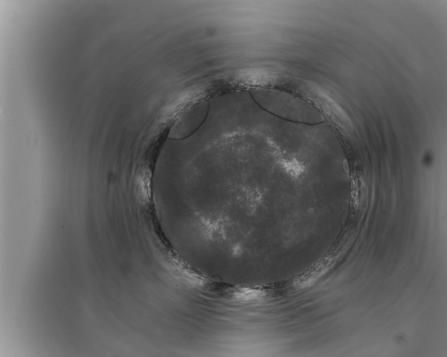 X0000095530718200712211325