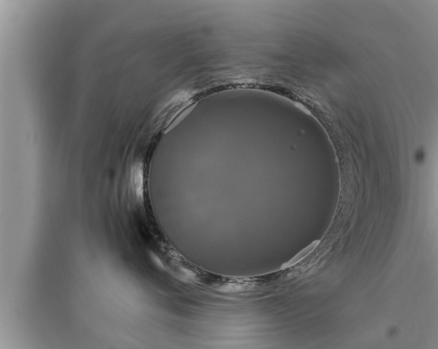 X0000095530720200712211325
