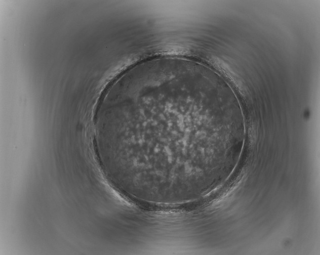 X0000095530721200712211324