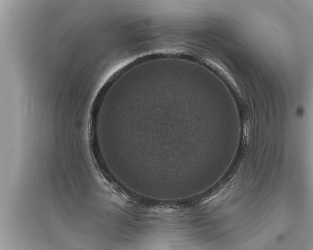 X0000095530724200712211324