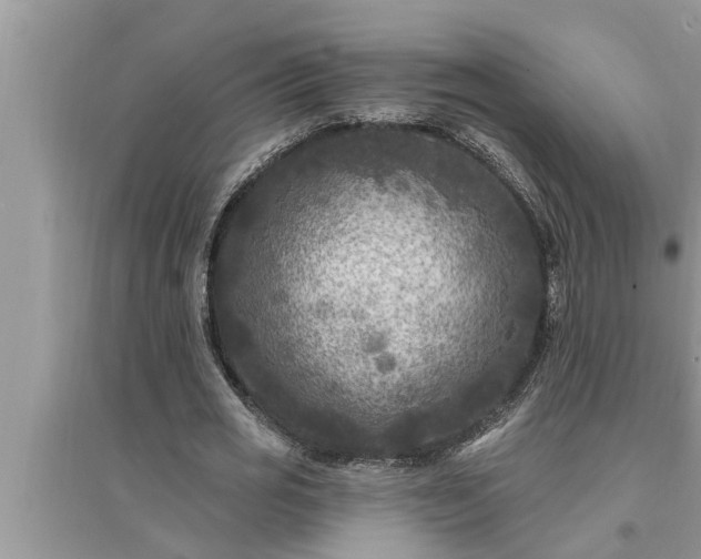 X0000095530725200712211324
