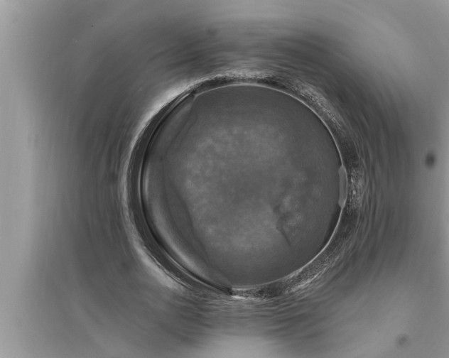 X0000095530726200712211324