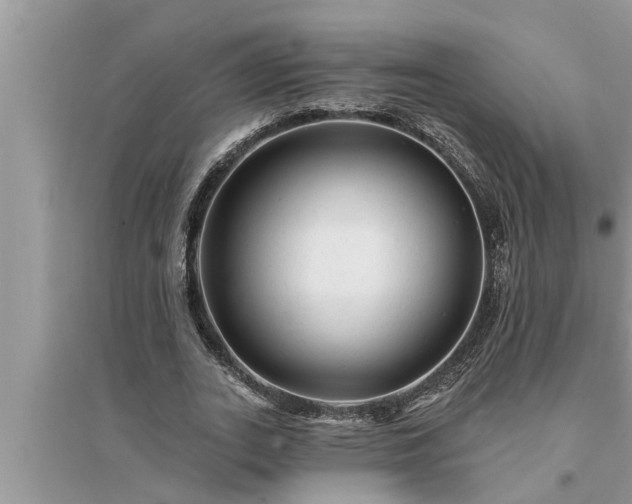 X0000095530727200712211324