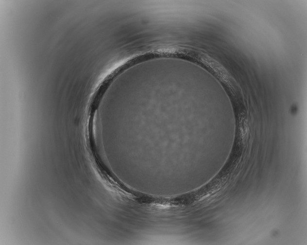 X0000095530728200712211324