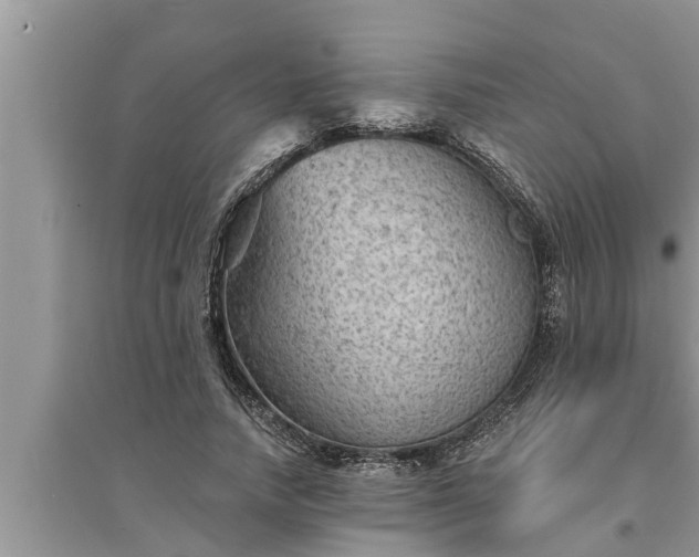 X0000095530738200712211325