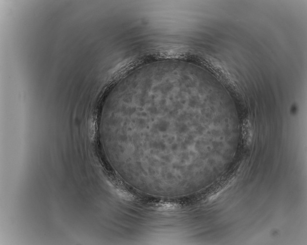 X0000095530741200712211325