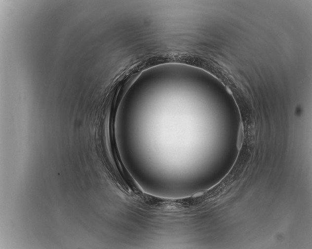 X0000095530750200712211325
