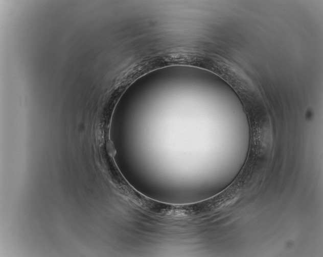 X0000095530751200712211325
