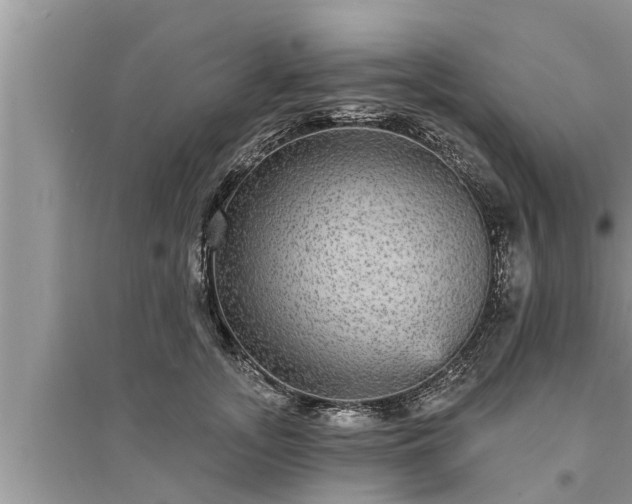 X0000095530755200712211325