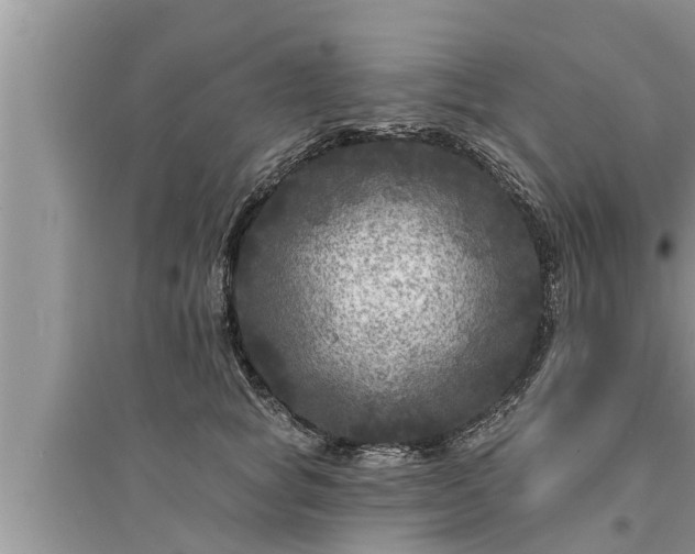 X0000095530757200712211325