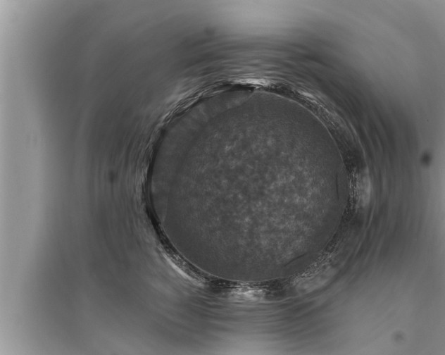 X0000095530760200712211325