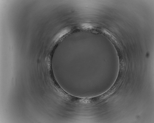 X0000095530762200712211325