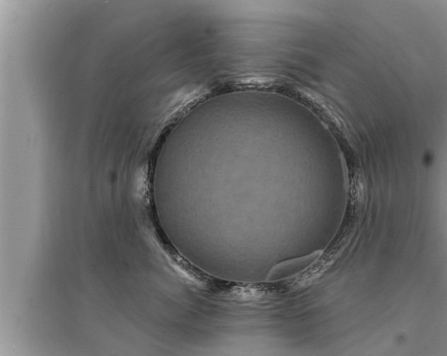 X0000095530764200712211325