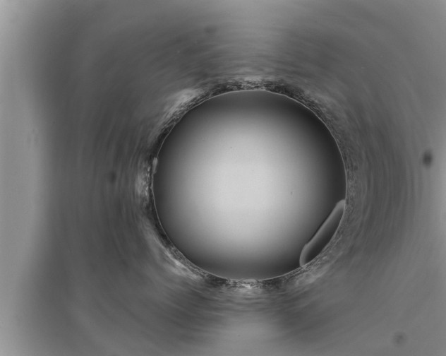 X0000095530768200712211325