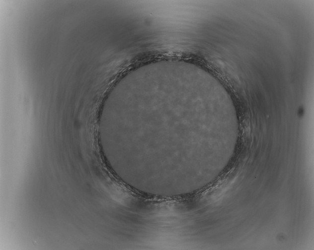 X0000095530769200712211324