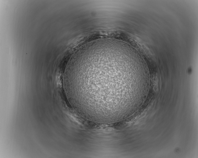 X0000095530770200712211324