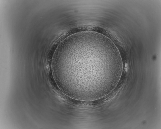 X0000095530771200712211324