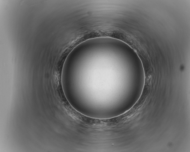 X0000095530772200712211324