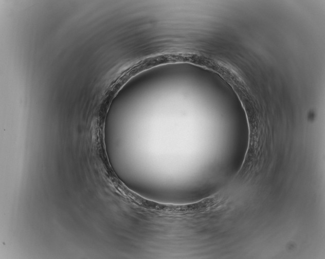 X0000095530773200712211324
