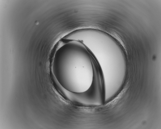 X0000095530781200712211324
