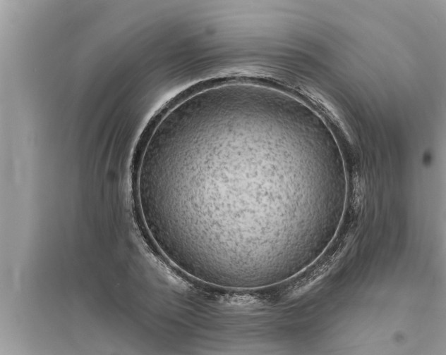 X0000095530784200712211324