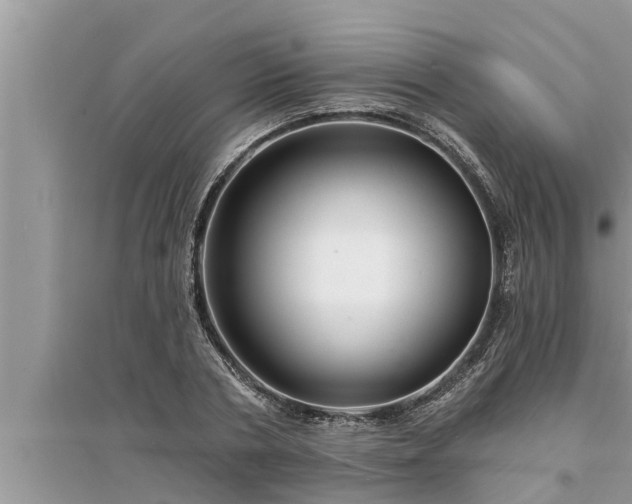 X0000095530786200712211324