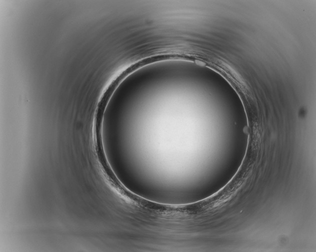 X0000095530788200712211324
