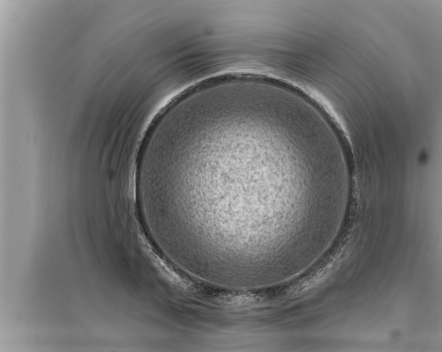 X0000095530791200712211324