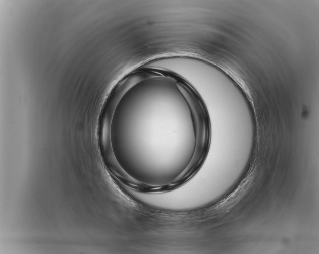 X0000095530797200712211324