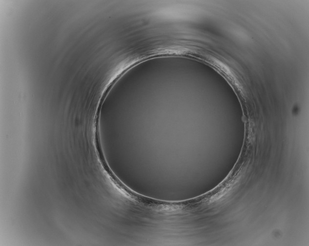 X0000095530802200712211324