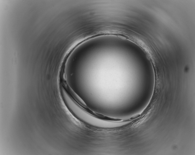 X0000095530803200712211324