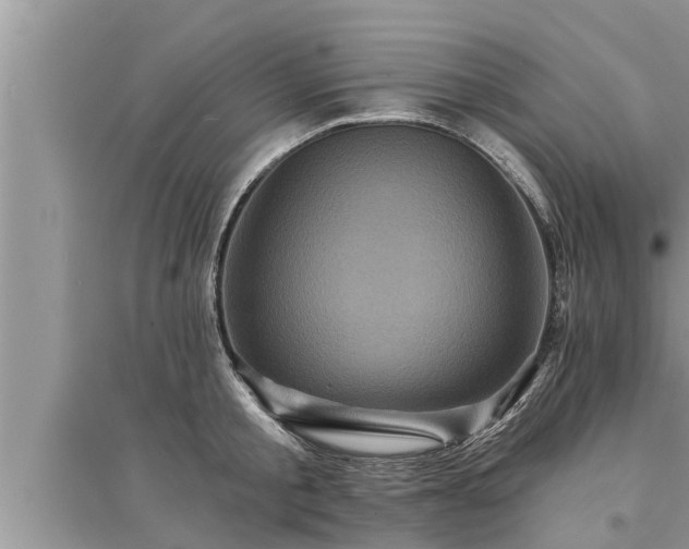 X0000095530805200712211324