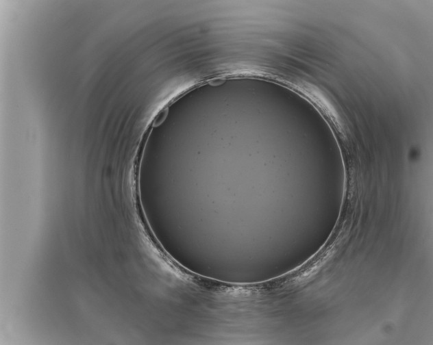 X0000095530806200712211324