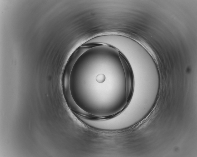 X0000095530813200712211324