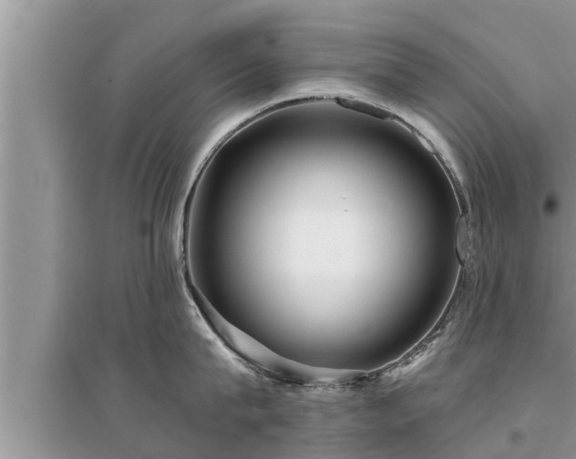 X0000095530815200712211324